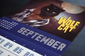 Super amazing cat calendar - real project funded on kickstarter